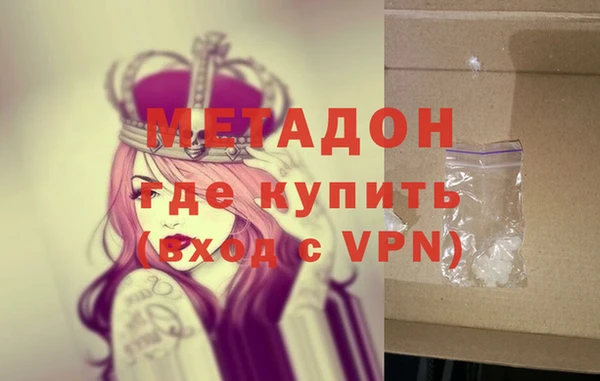 прущие грибы Михайловск