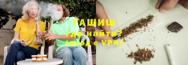 прущие грибы Михайловск