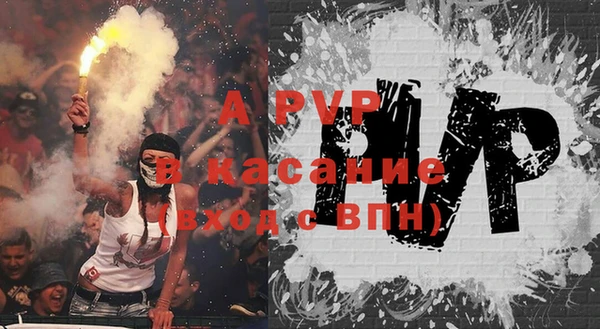 прущие грибы Михайловск