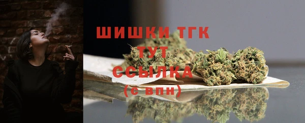 прущие грибы Михайловск