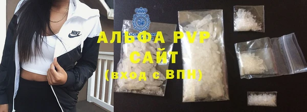прущие грибы Михайловск