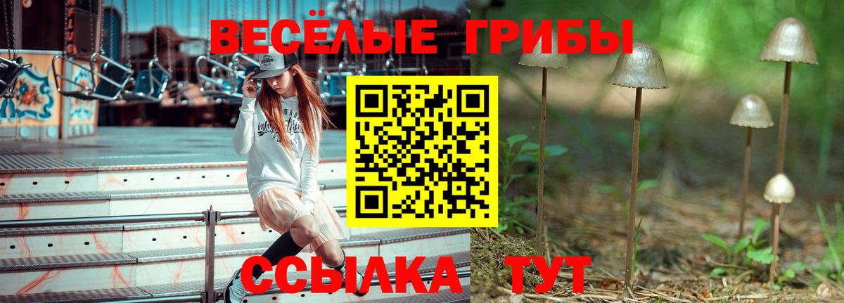 Галлюциногенные грибы мицелий Надым